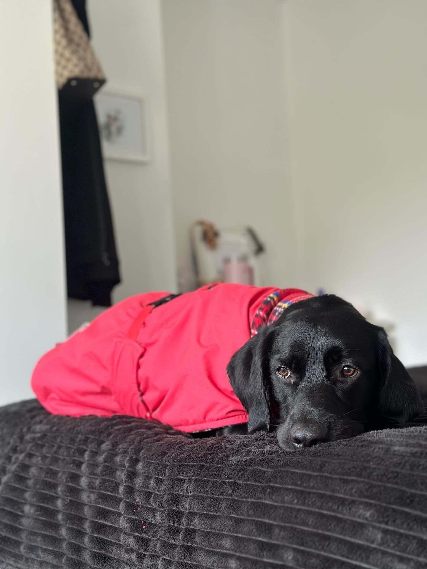 Red Full Tummy Waterproof Jacket with Fleece Lining
