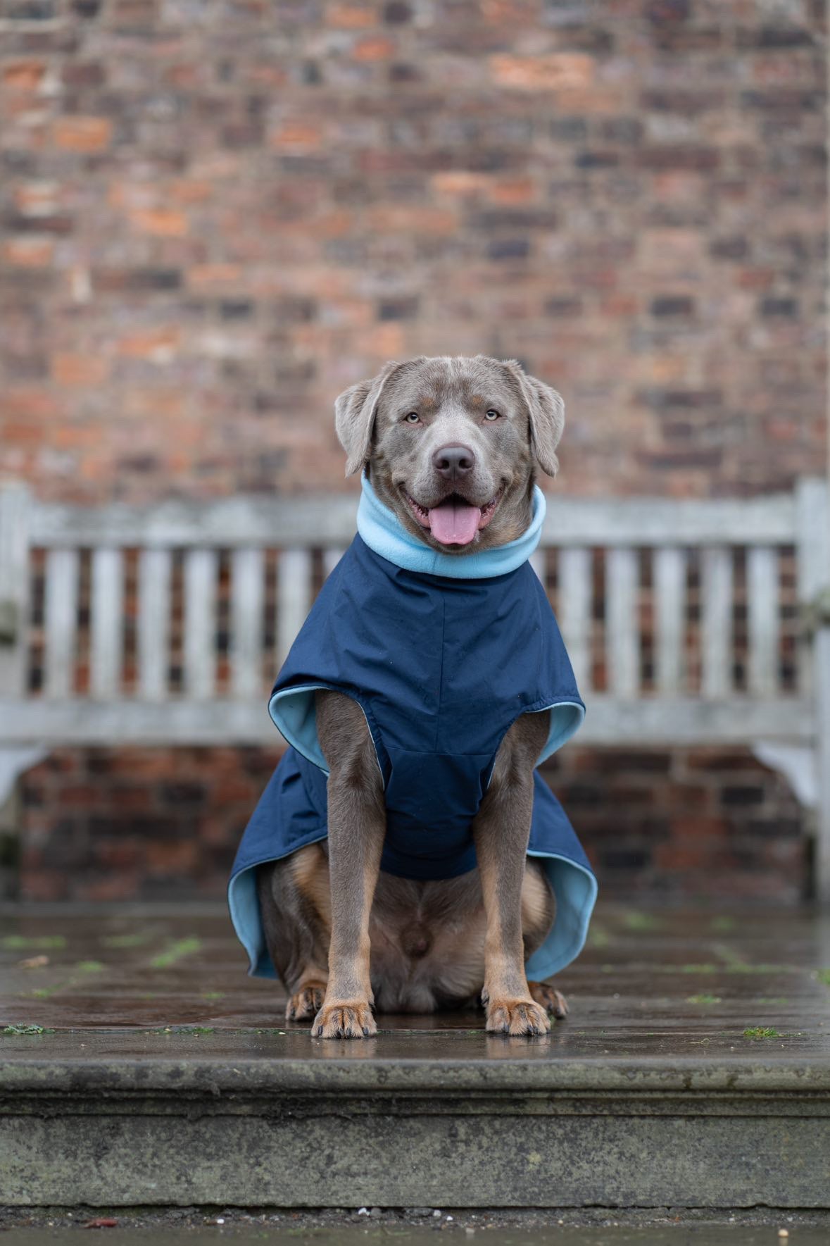 Navy Full Tummy Waterproof Jacket with Fleece Lining