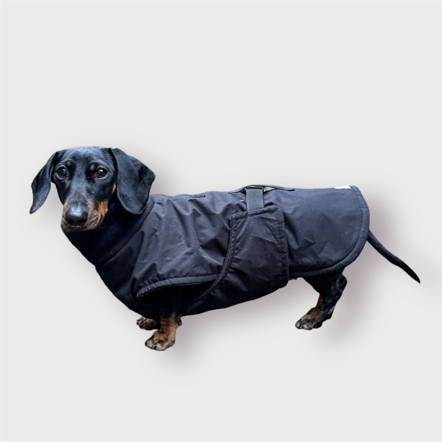 Black Full Tummy Waterproof Jacket with Fleece Lining