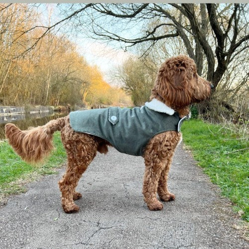 Forest Corduroy Jacket with Borg Collar