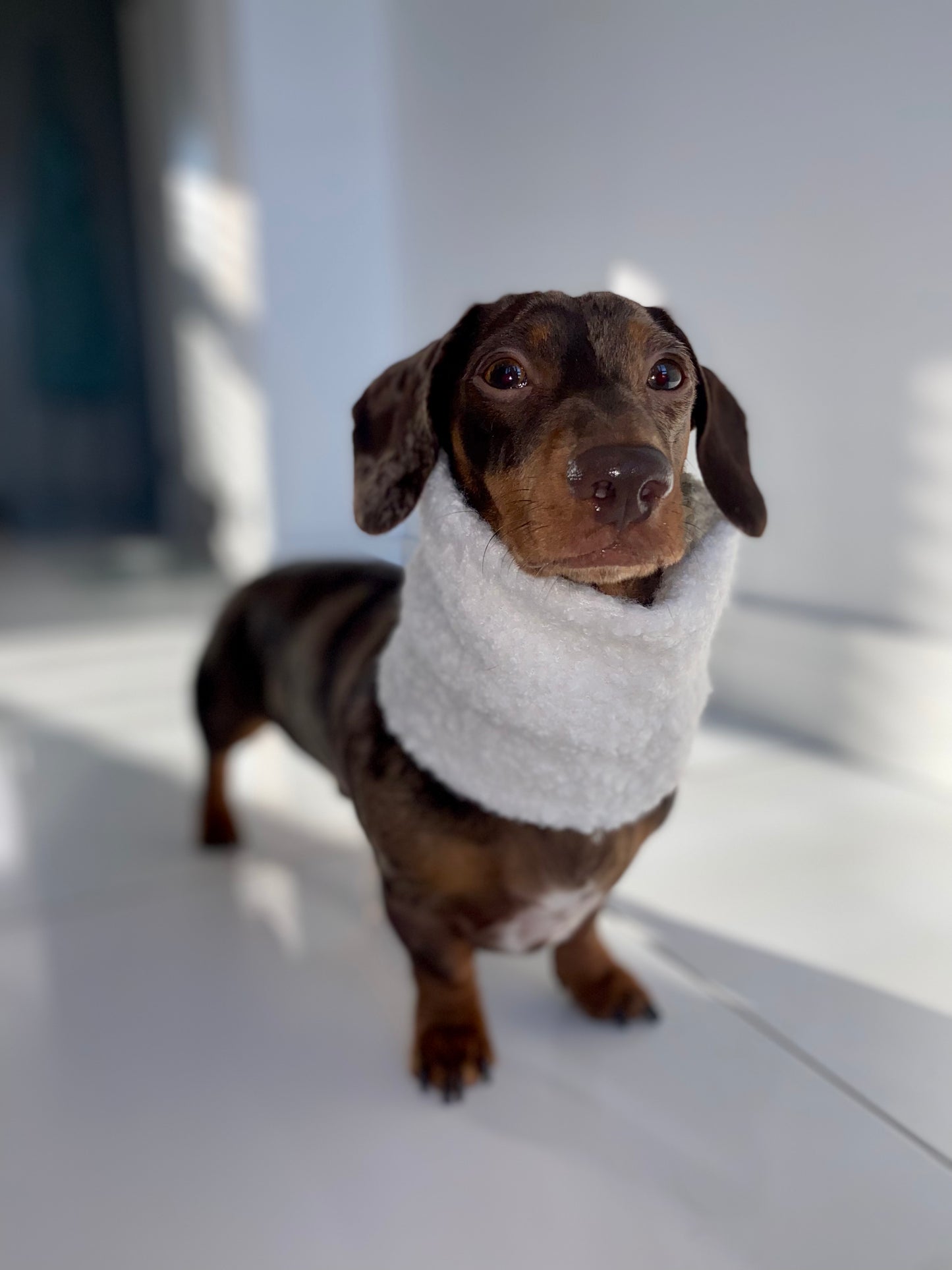 Cream Borg Snood