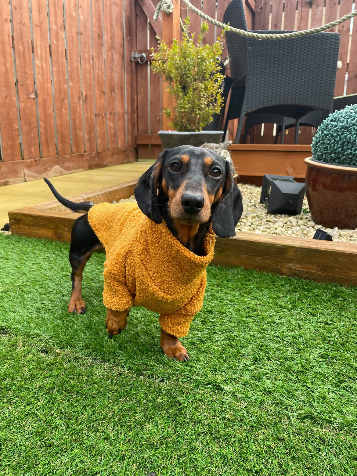 Mustard Borg Cosy Jumper