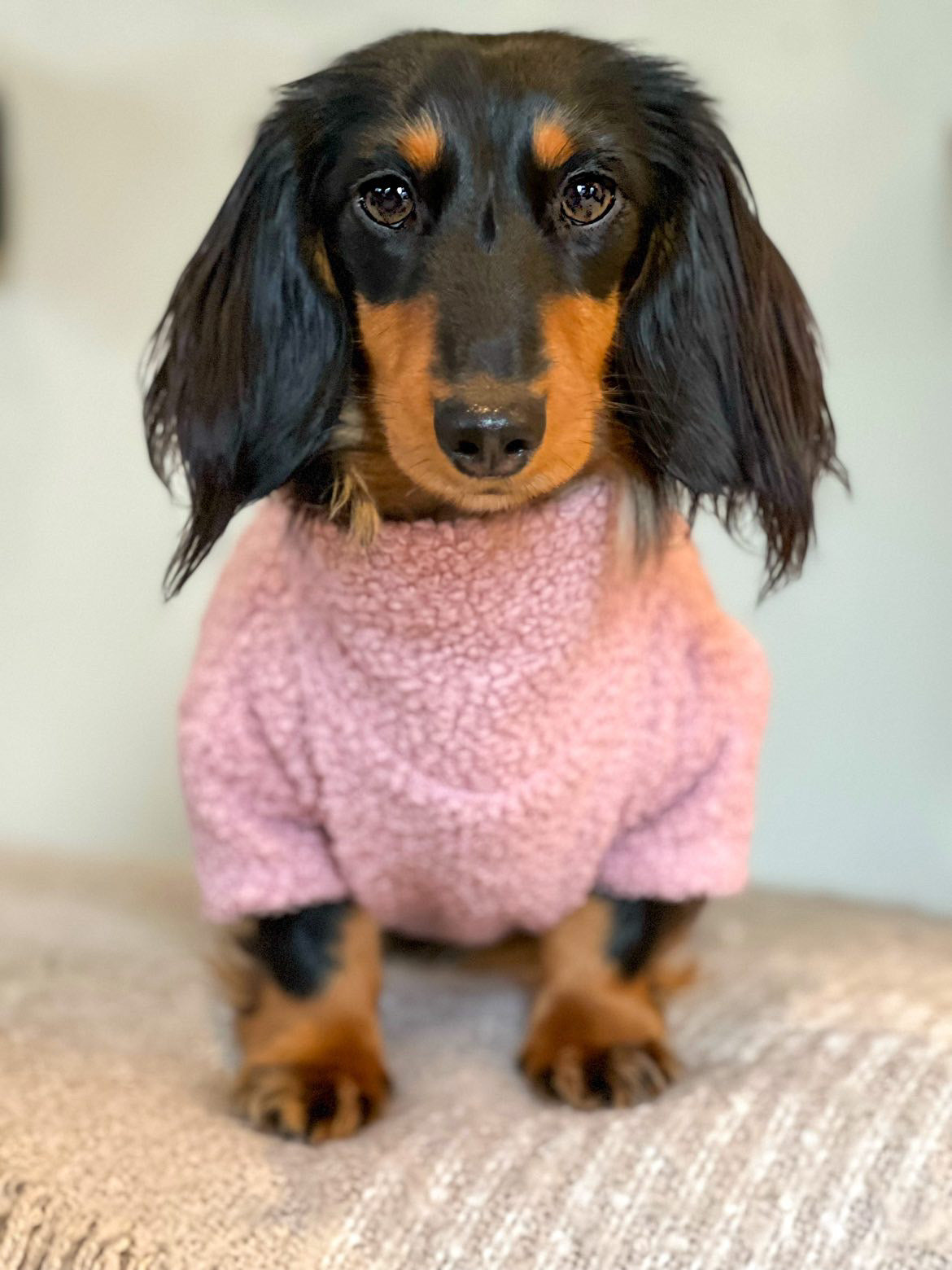 Dusky Pink Borg Cosy Jumper