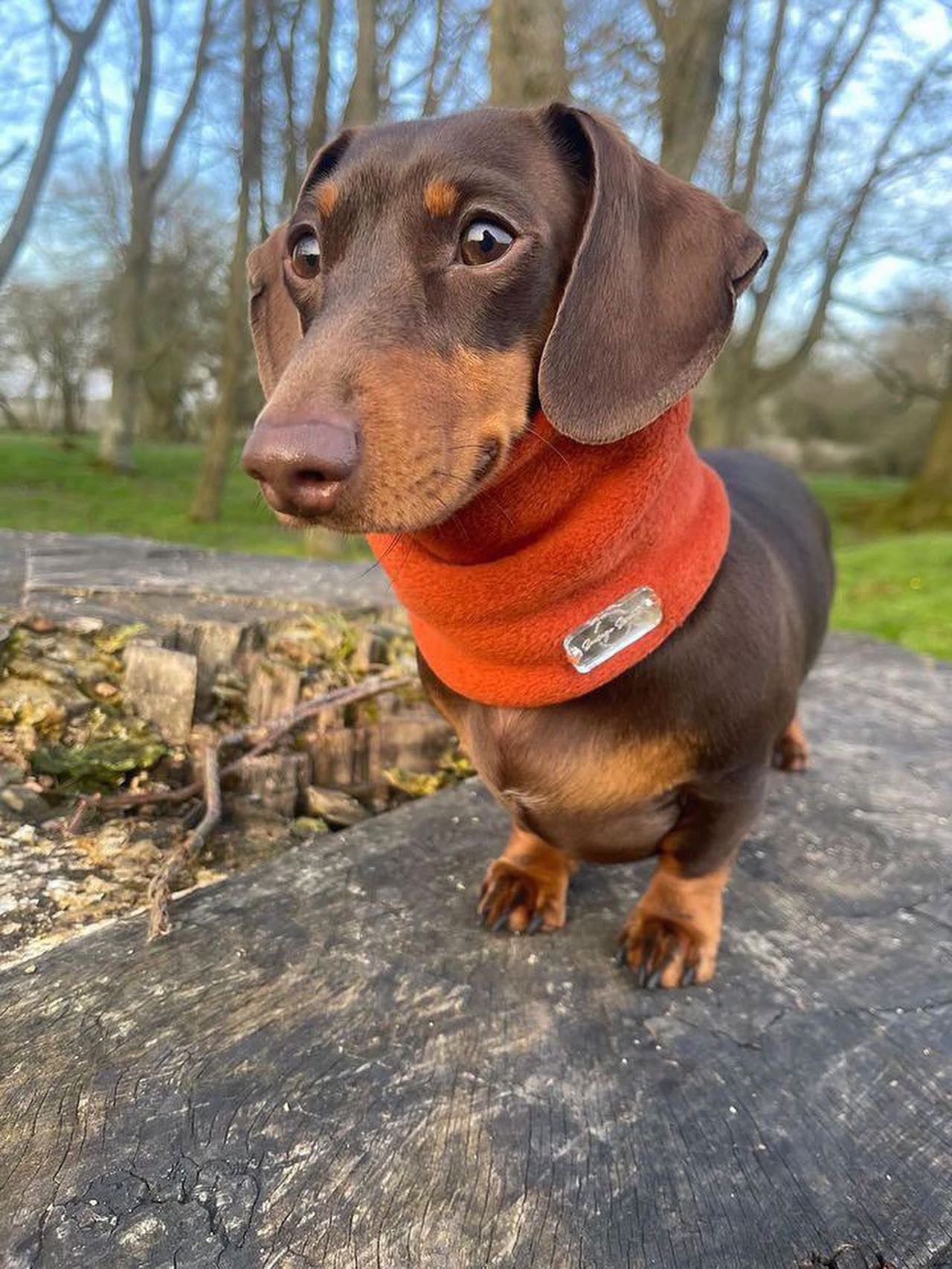 Rust Fleece Snood