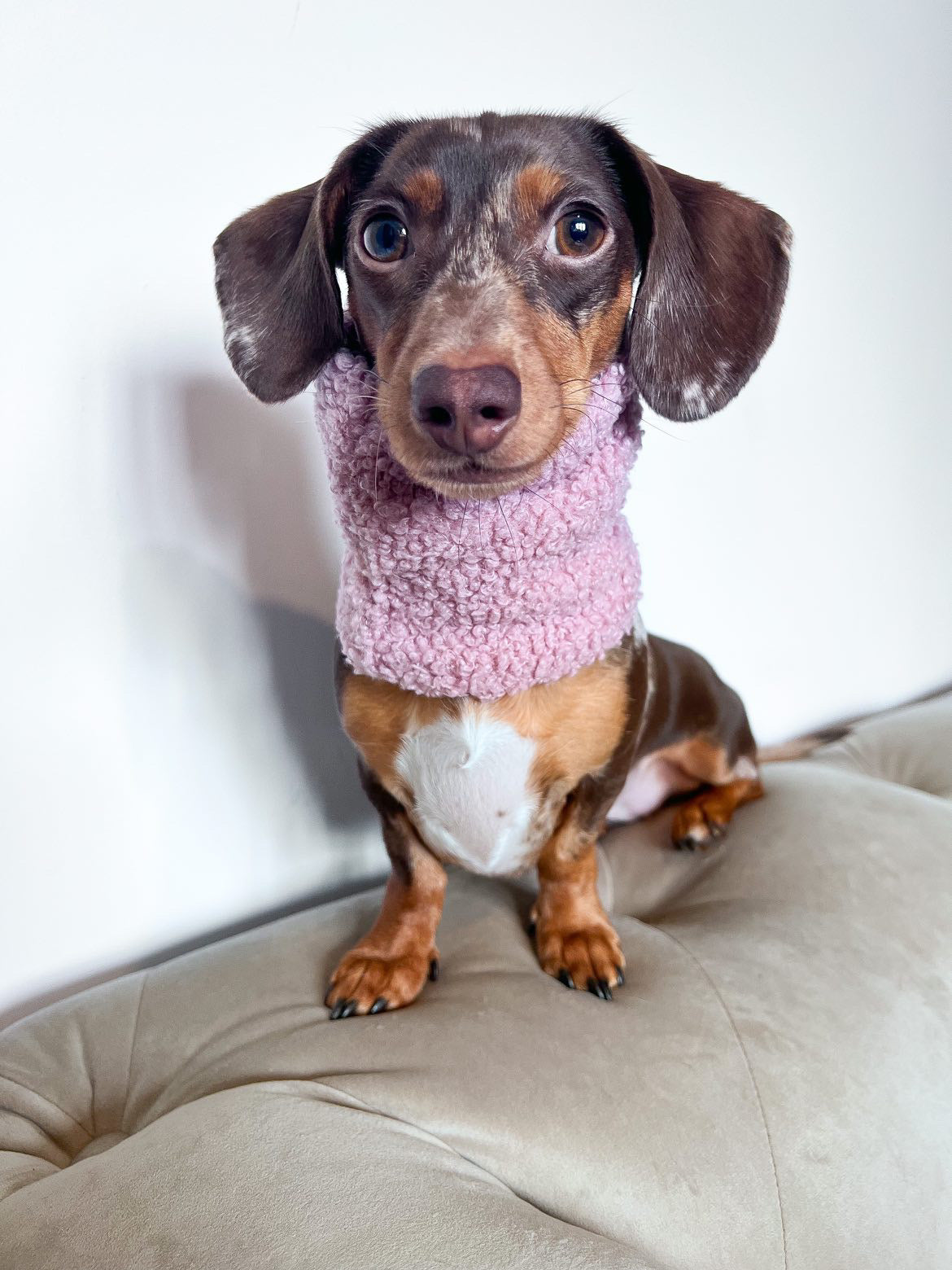 Blush Pink Borg Snood