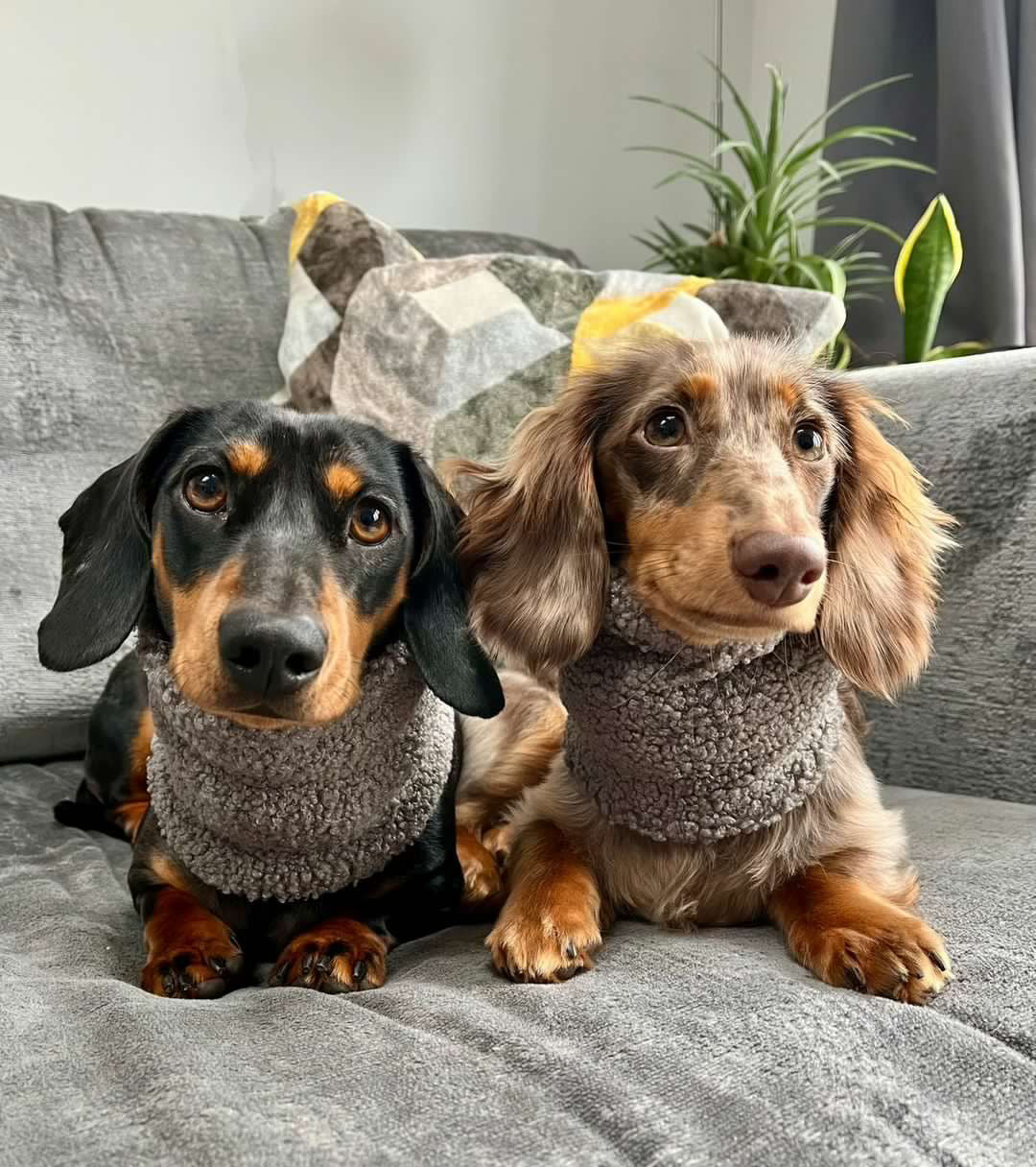 Grey Borg Snood