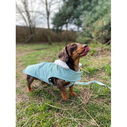 Mint Corduroy Jacket with Borg Collar