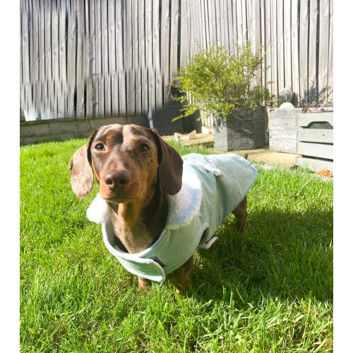 Mint Corduroy Jacket with Borg Collar