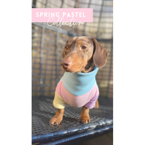 Limited Edition Spring Collection Fleece Jumper