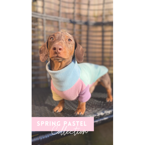 Limited Edition Spring Collection Fleece Jumper