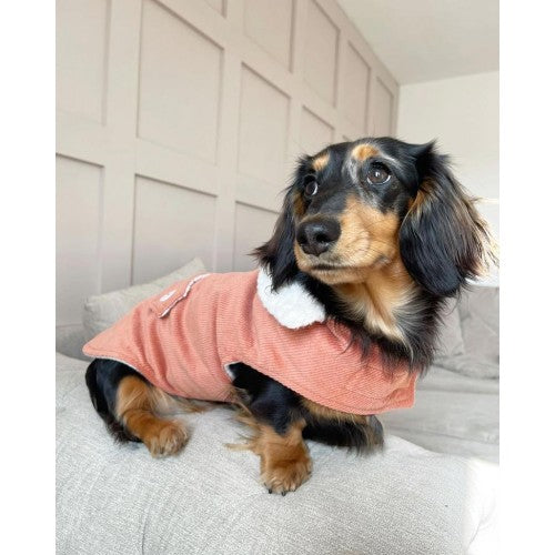 Salmon Corduroy Jacket with Borg Collar