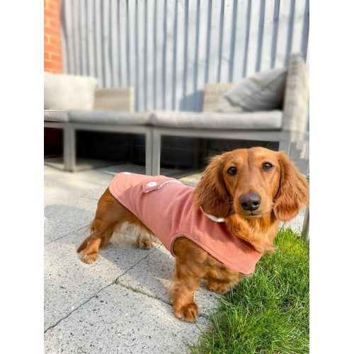 Salmon Corduroy Jacket with Borg Collar