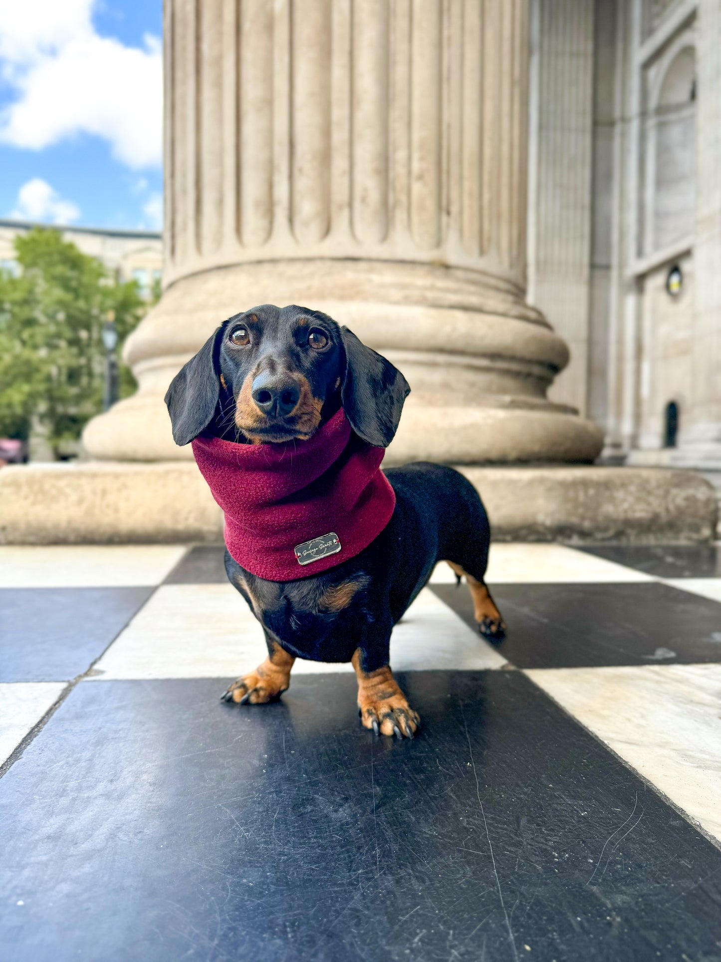 Wine Fleece Snood