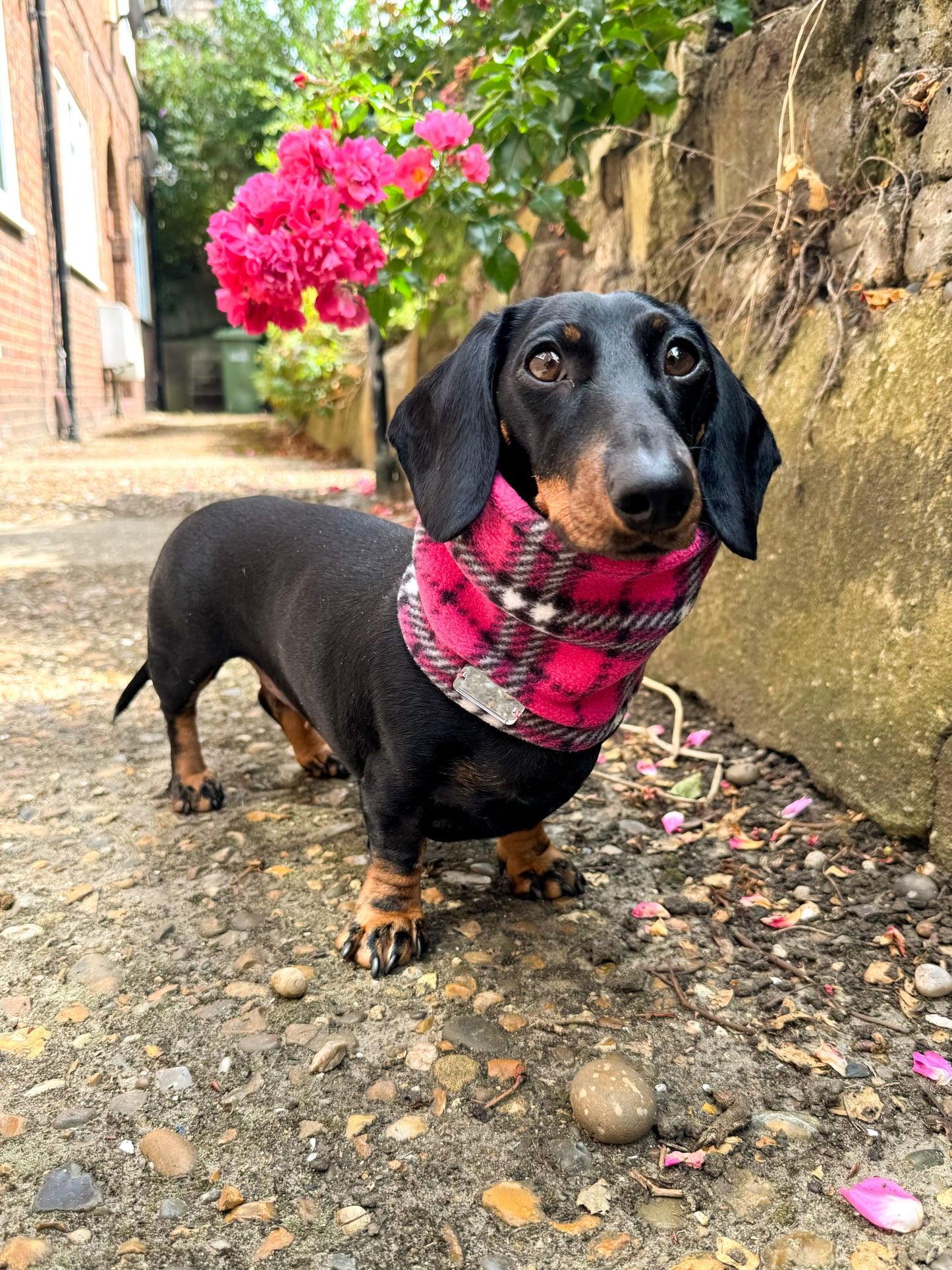 Pink Tartan Fleece Snood