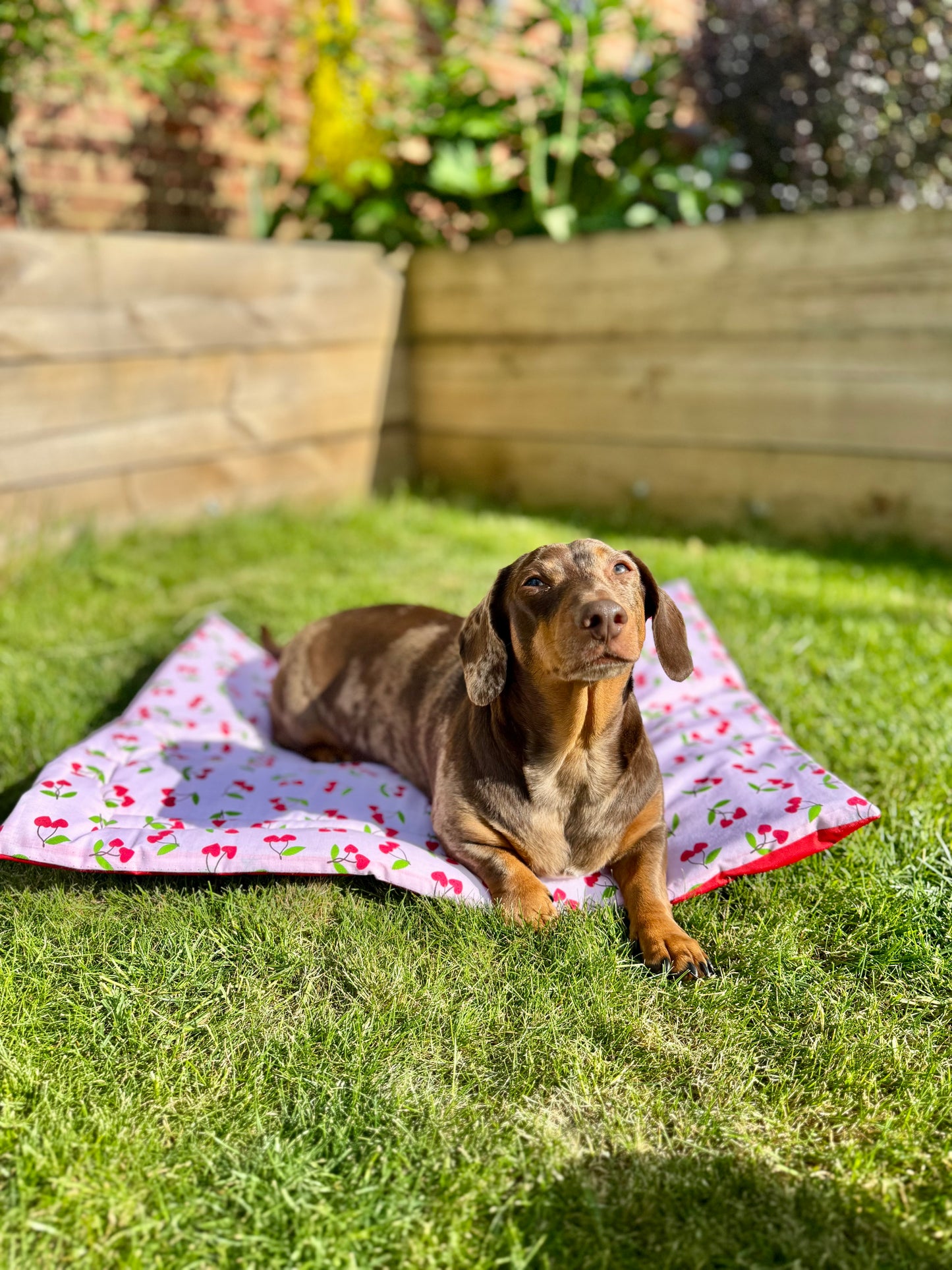 Cherry Pub & Picnic Settle Mat