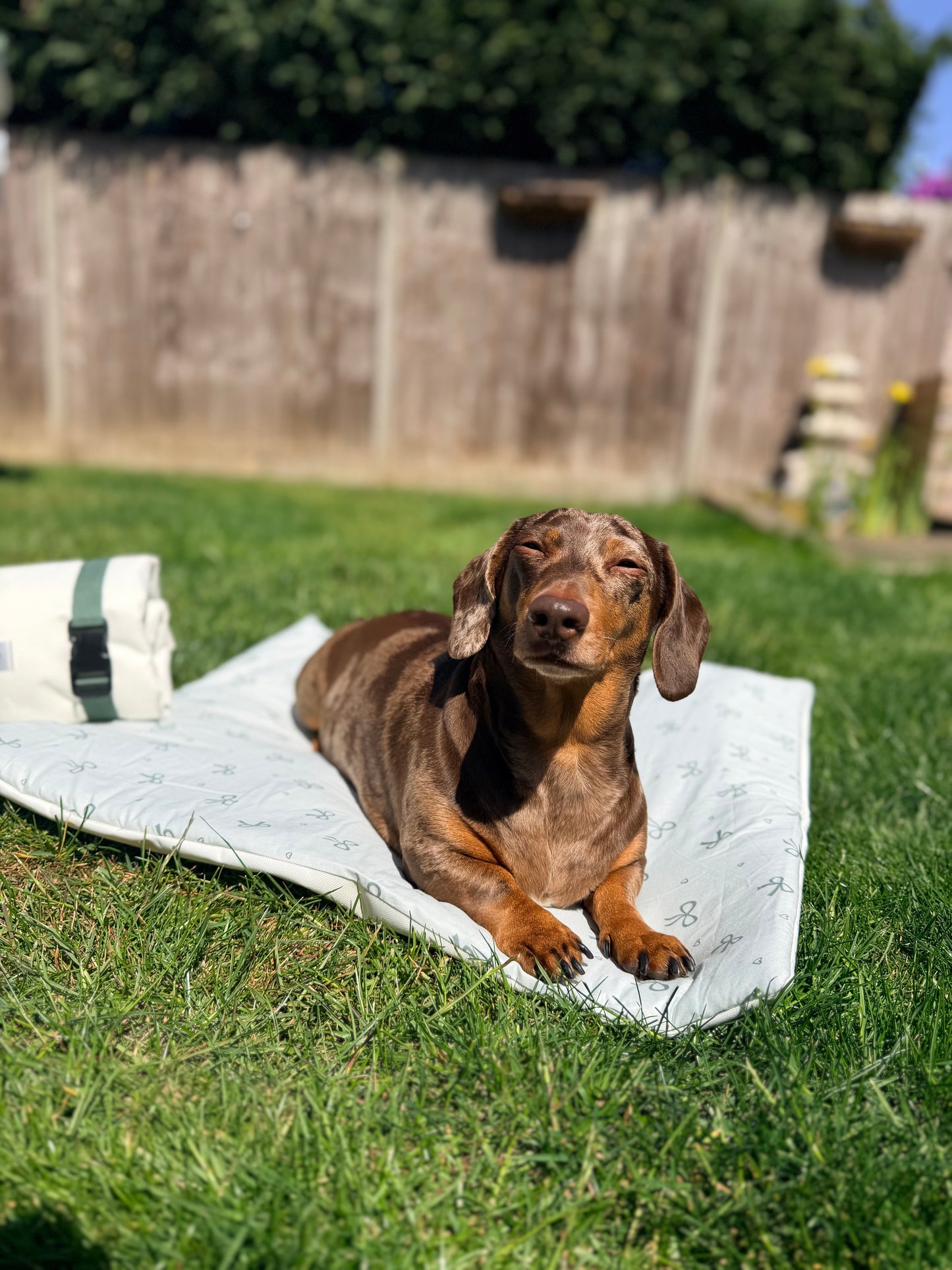 Sublime Sage & Cream Pub & Picnic Settle Mat