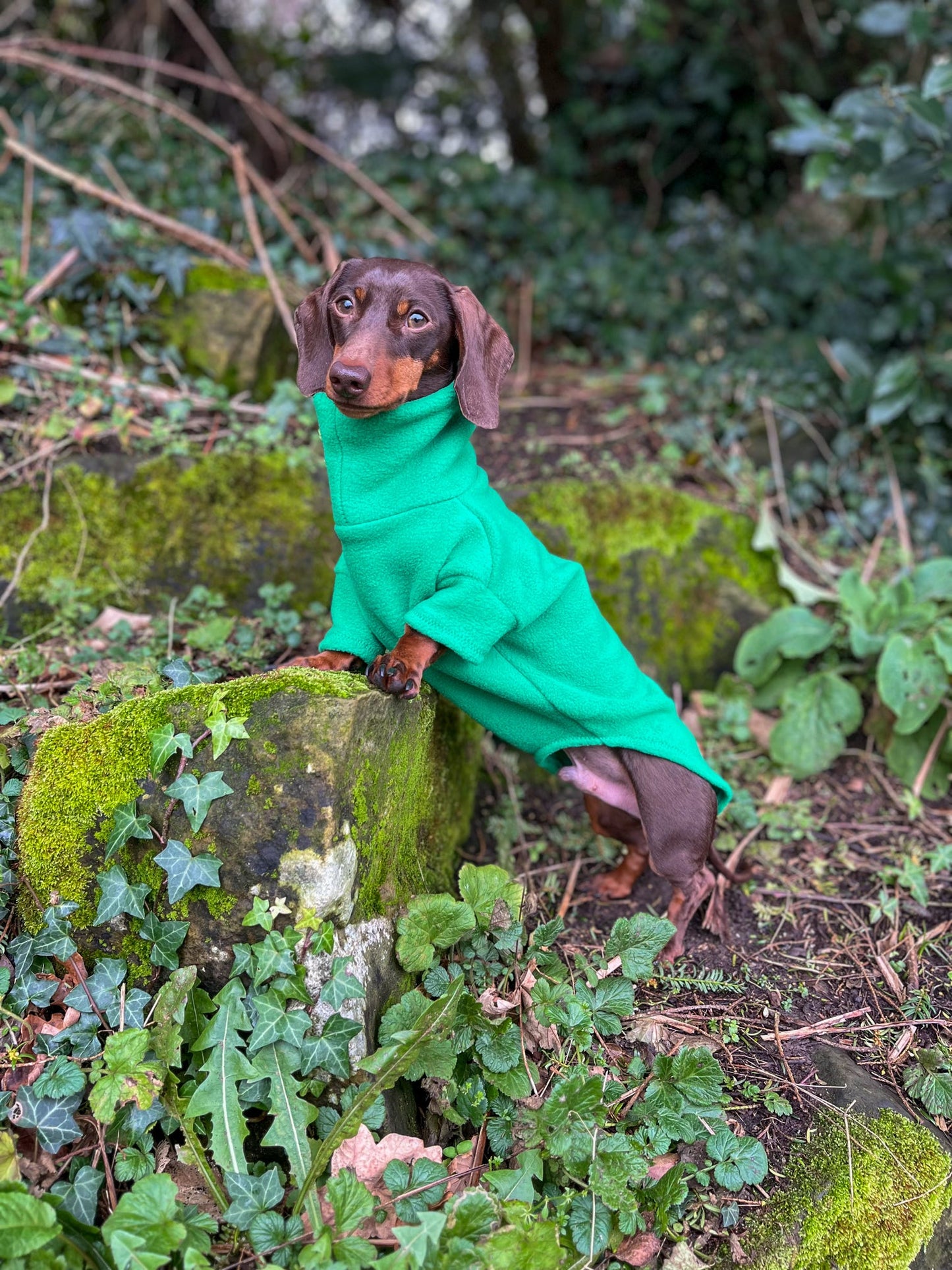 Emerald Fleece Jumper