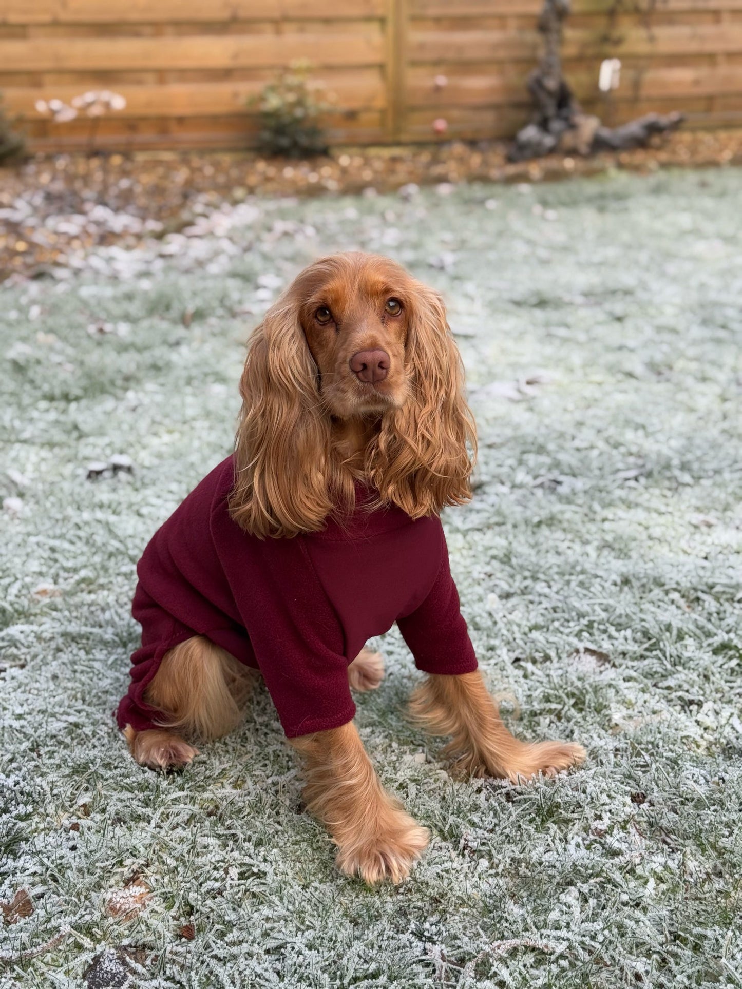 Wine 4 Leg Fleece Jumper