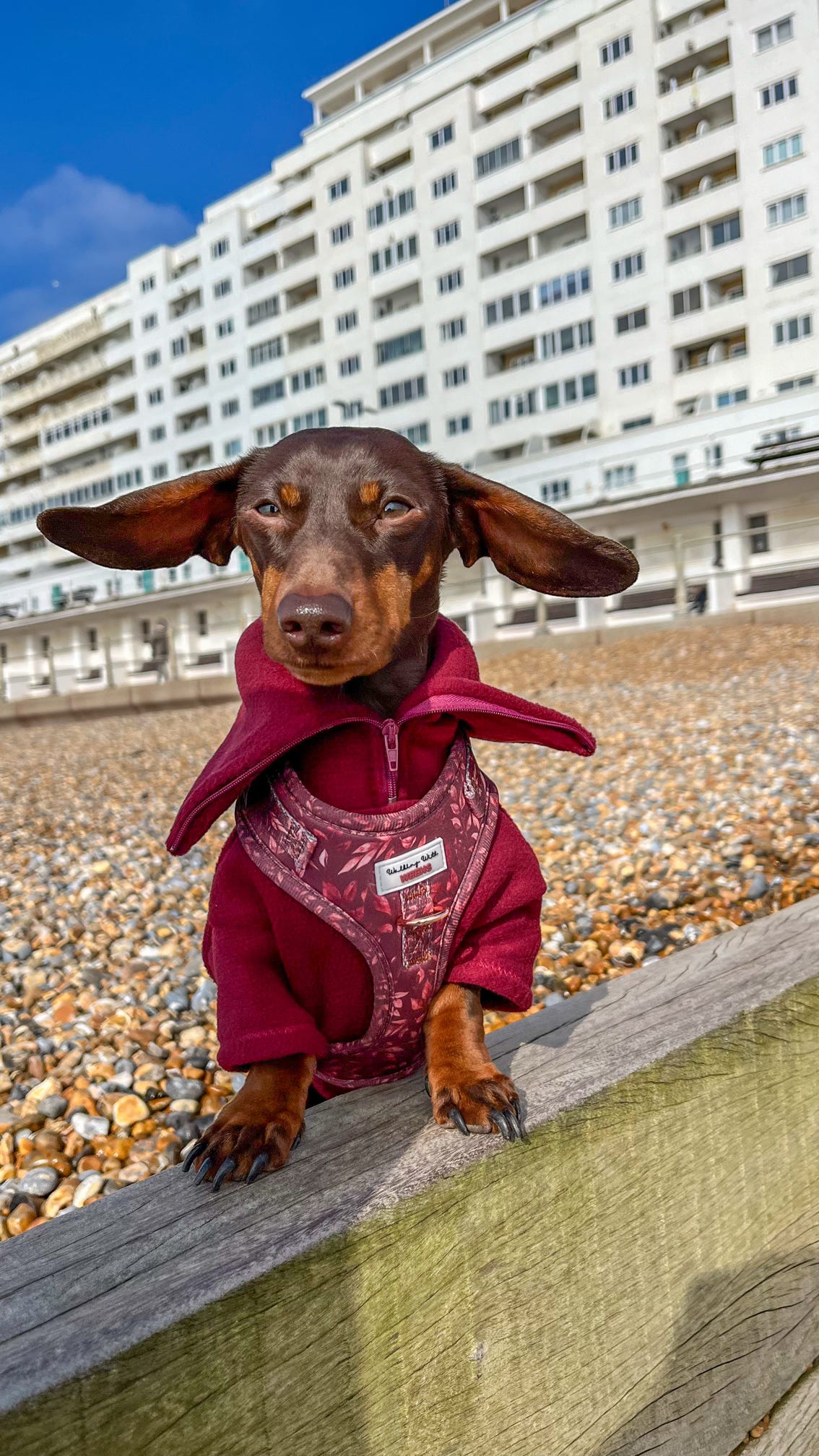 Wine Quarter Zip Fleece Jumper