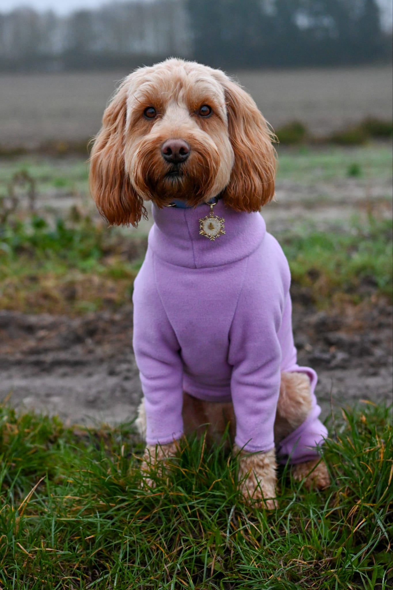 Lilac 4 Leg Fleece Jumper