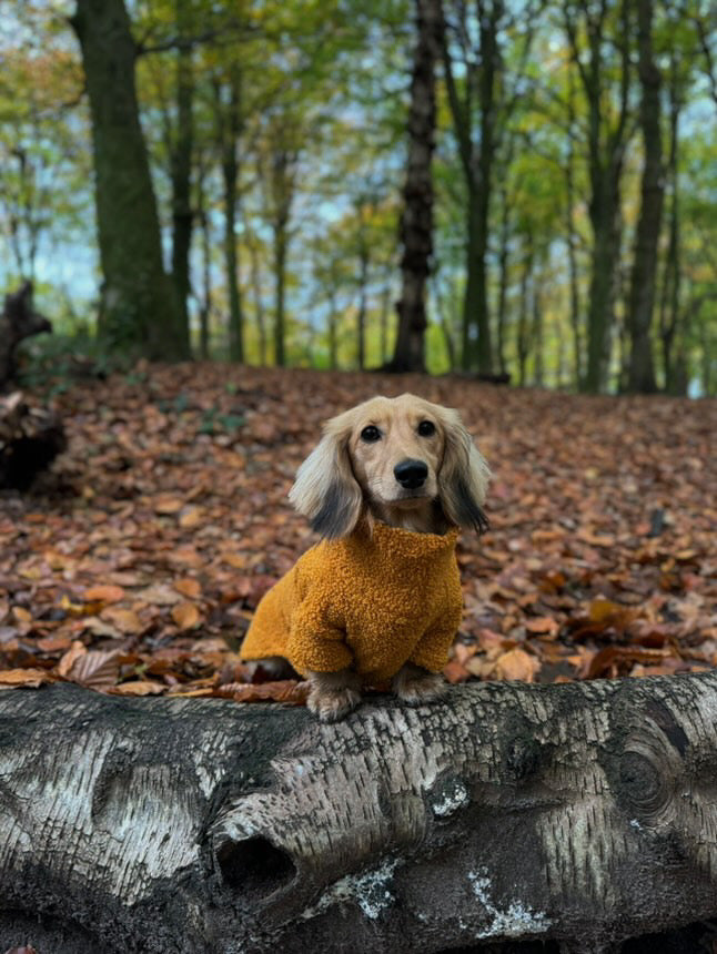 Mustard Borg Cosy Jumper