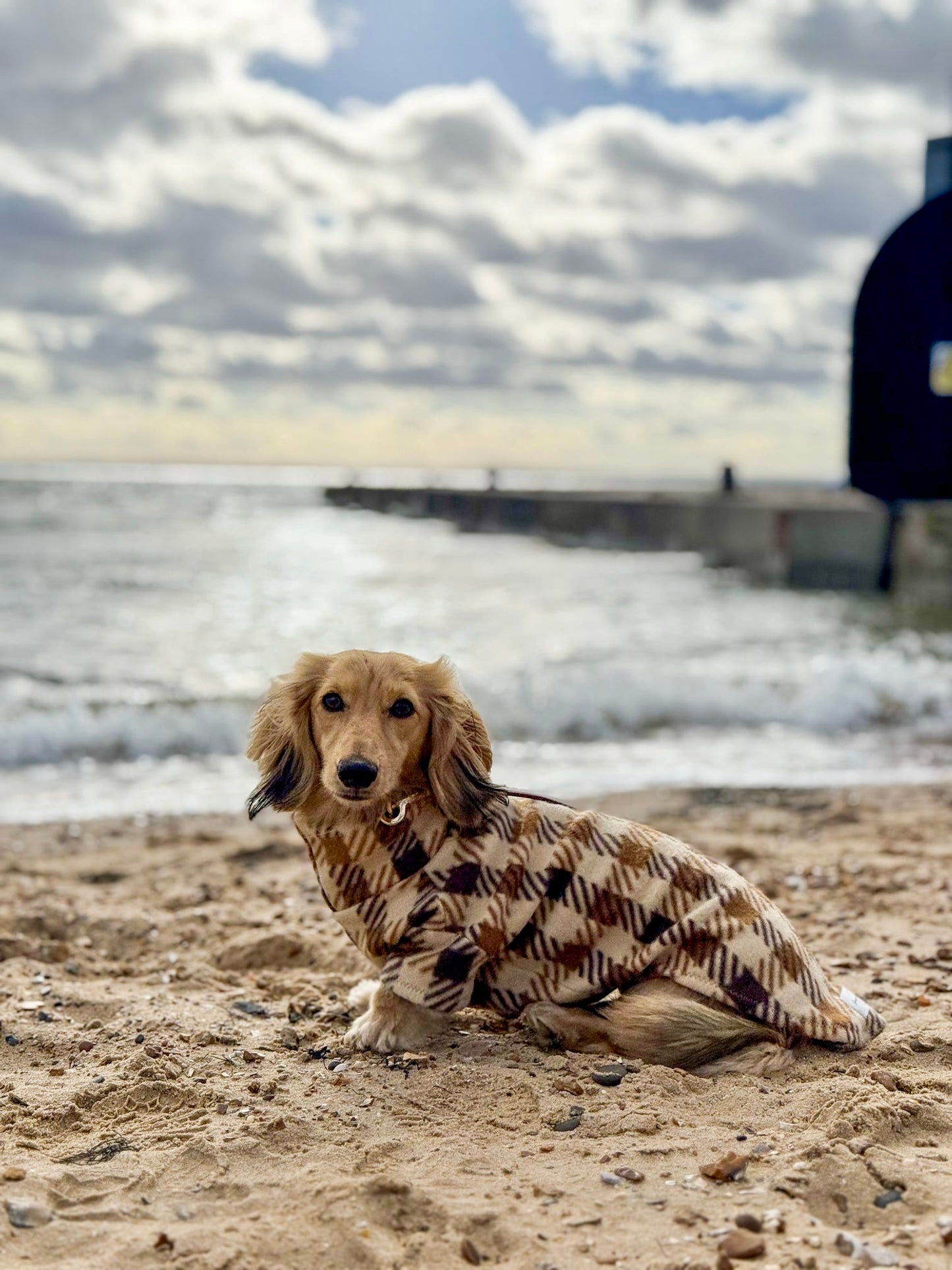 Brown Plaid Fleece Jumper