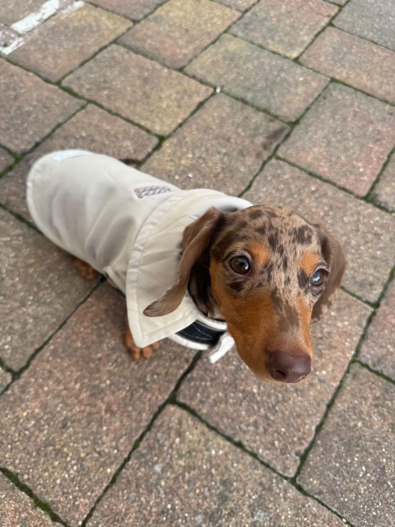 Beige Waterproof Jacket with Fleece Lining