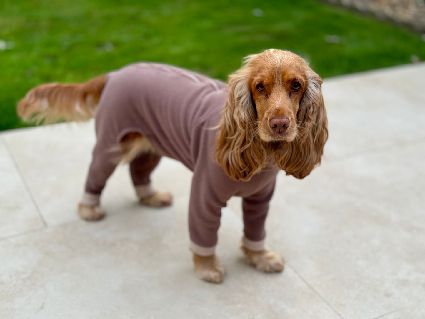 Mocha 4 Leg Fleece Jumper