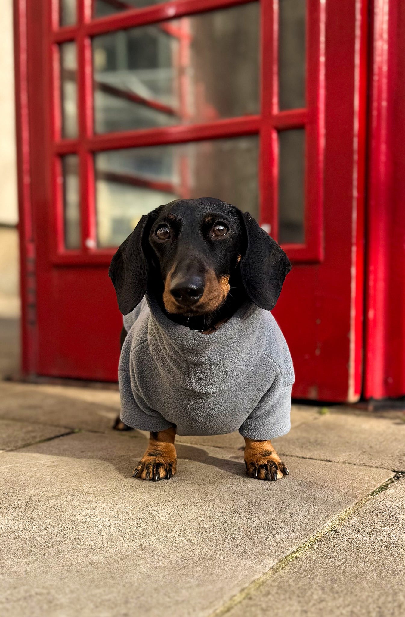 Dark Grey Fleece Jumper