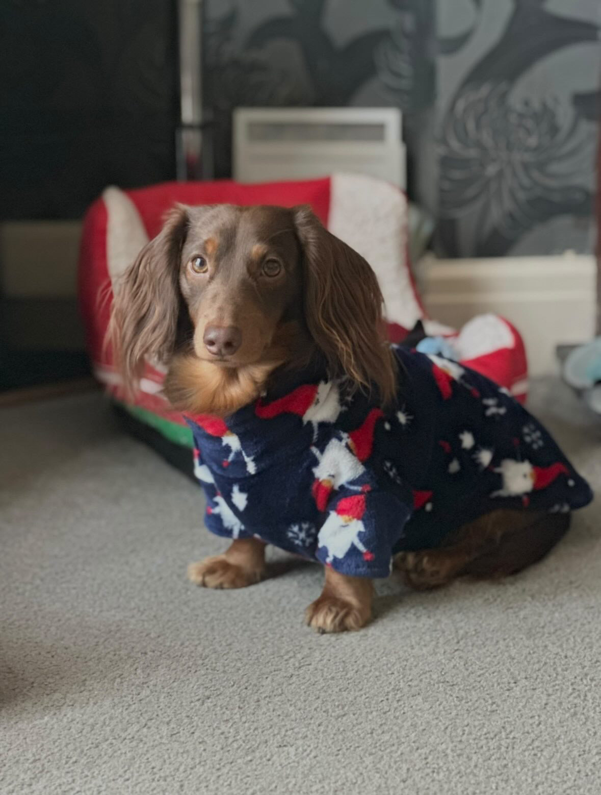 Christmas Gonk Jammies