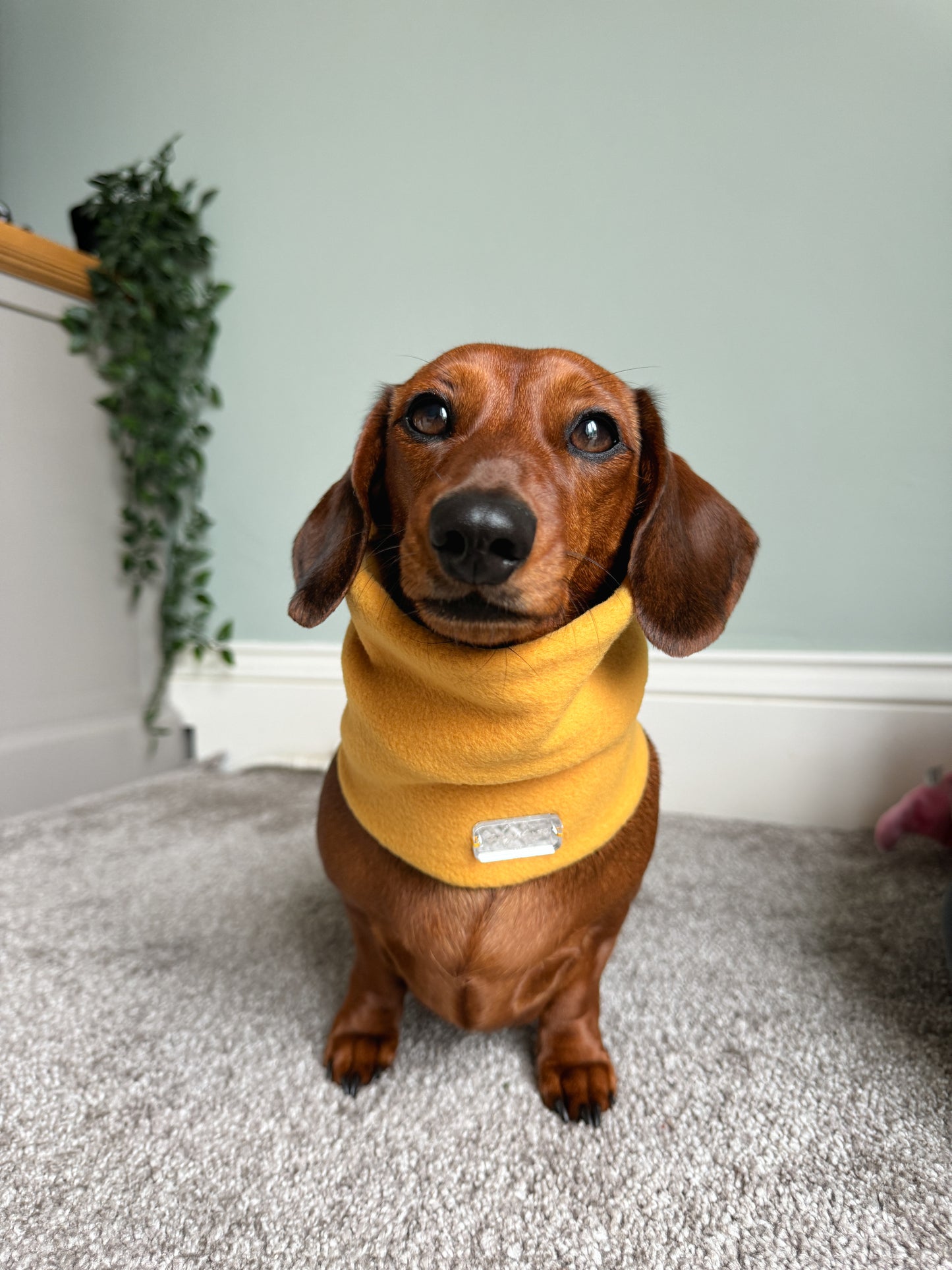 Mustard Fleece Snood