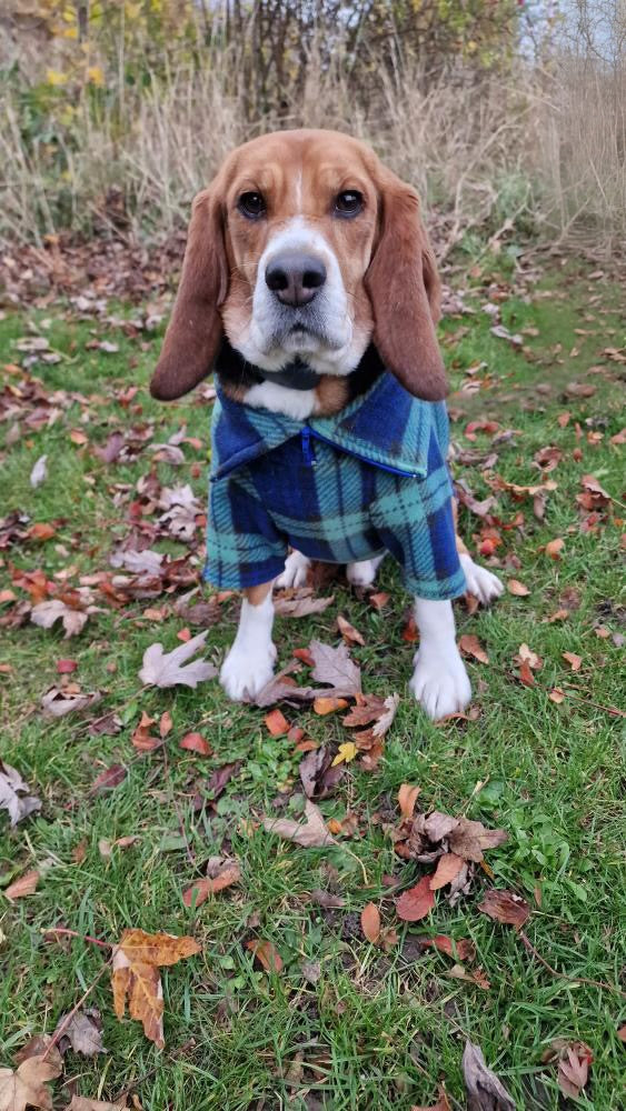 Navy Tartan Quarter Zip Fleece Jumper