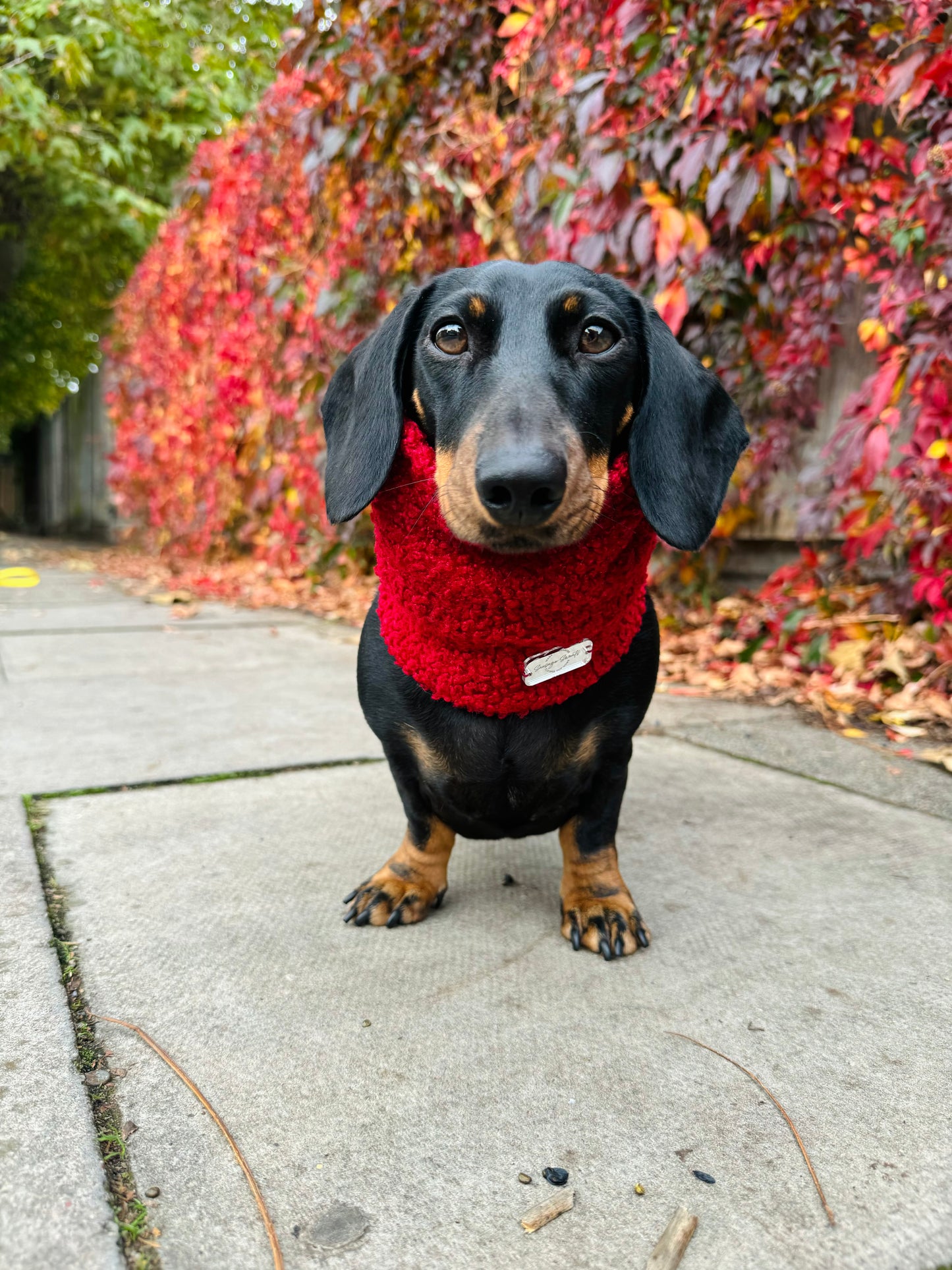 Red Wine Borg Snood