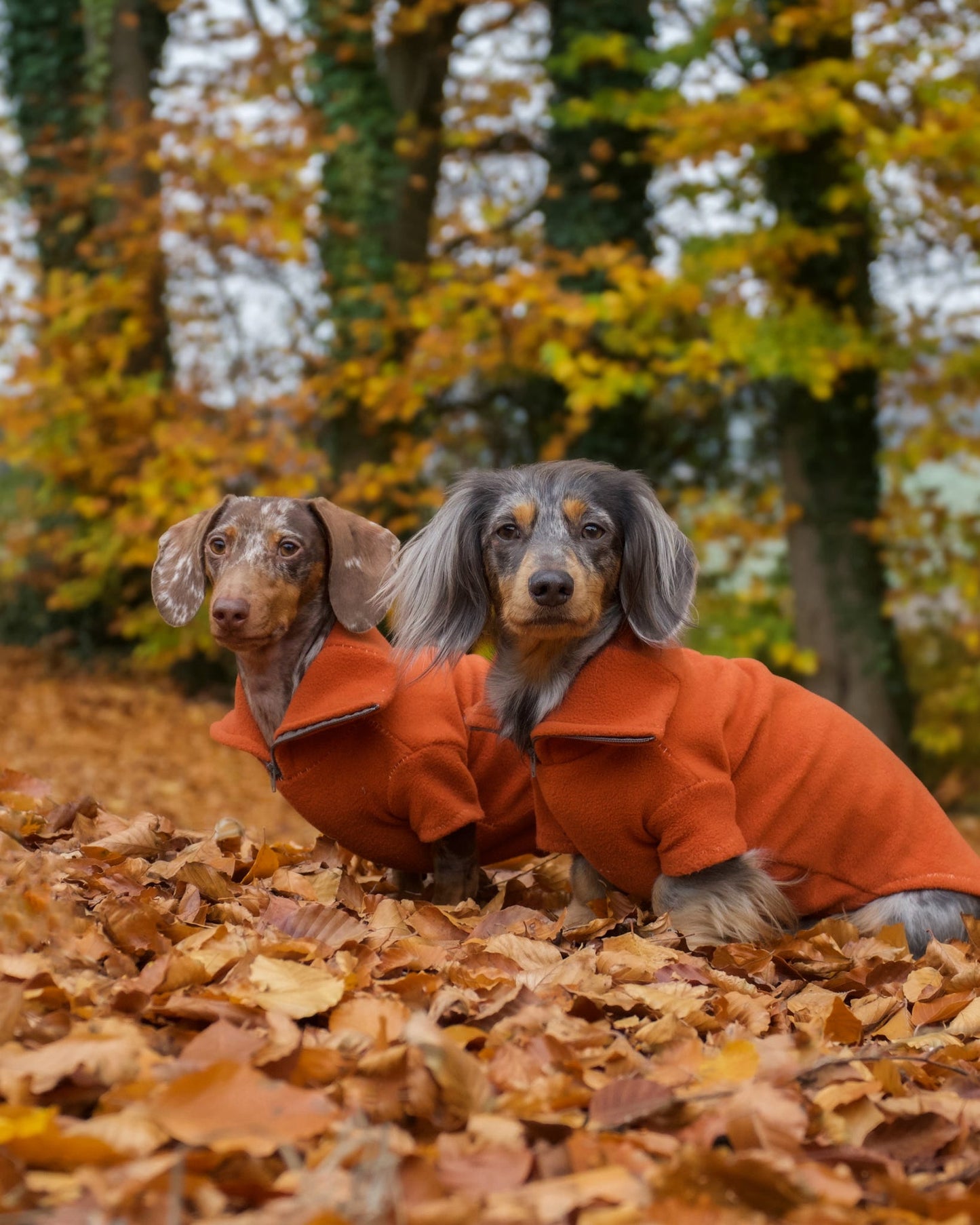 Rust Quarter Zip Fleece Jumper