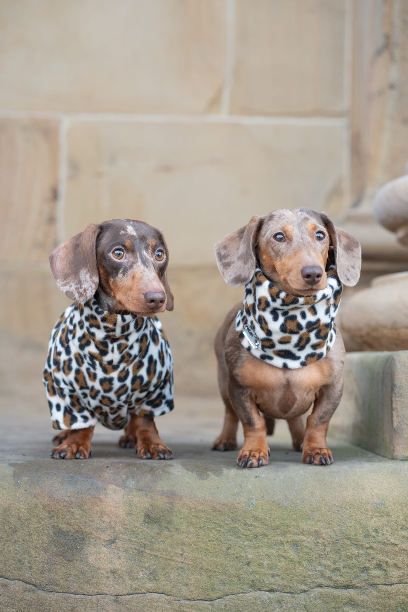 Snow Leopard Fleece Snood