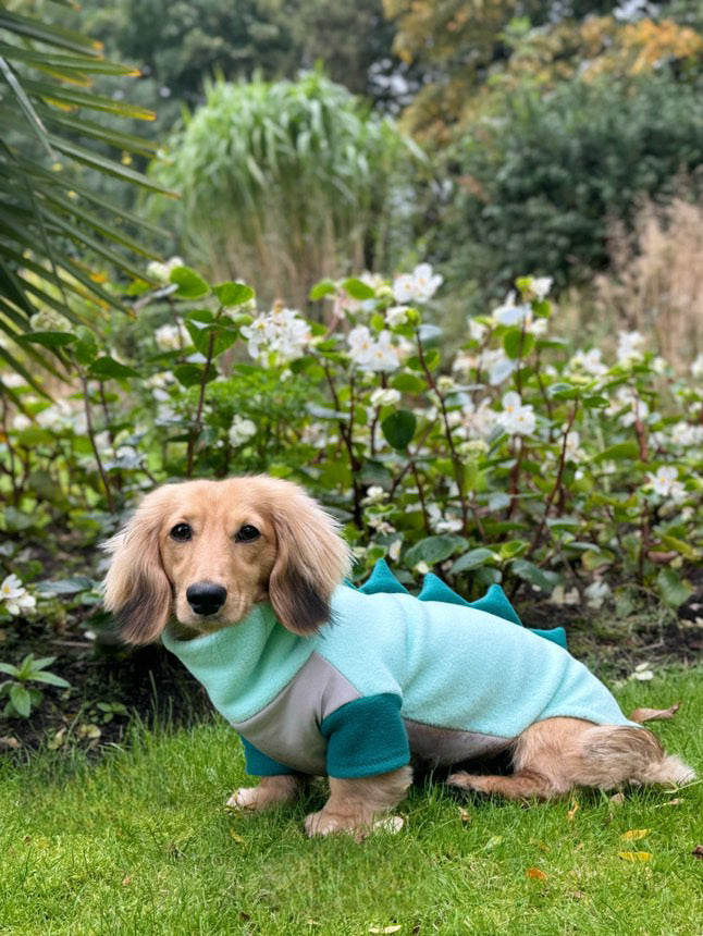 Jurassic Bark Fleece Jumper