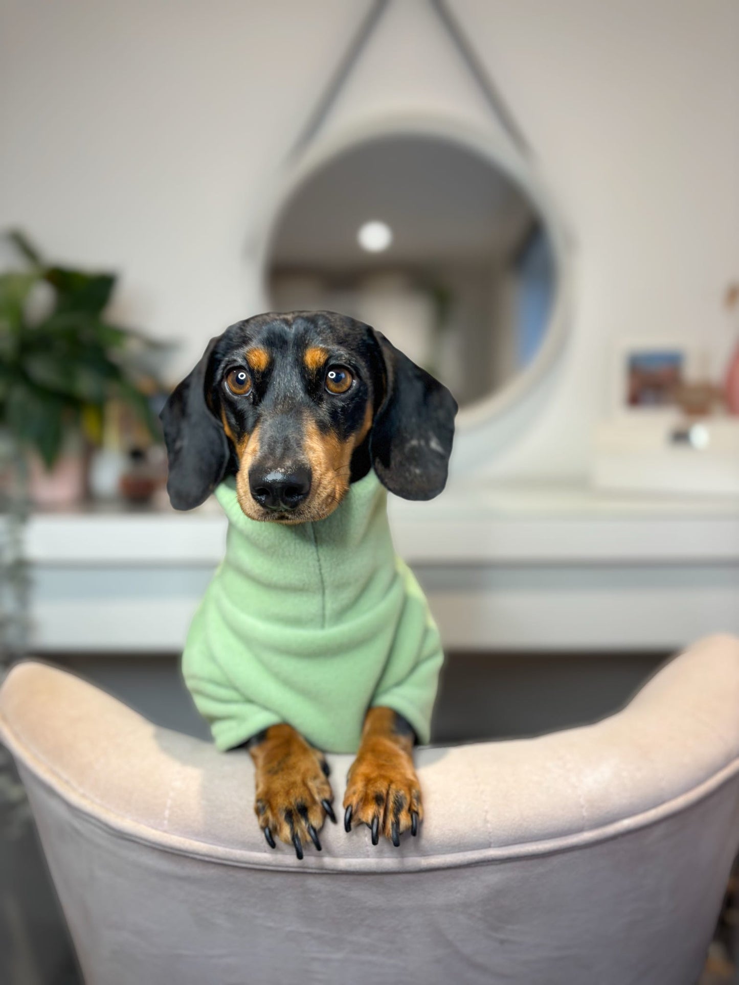 Pistachio 4 Leg Fleece Jumper
