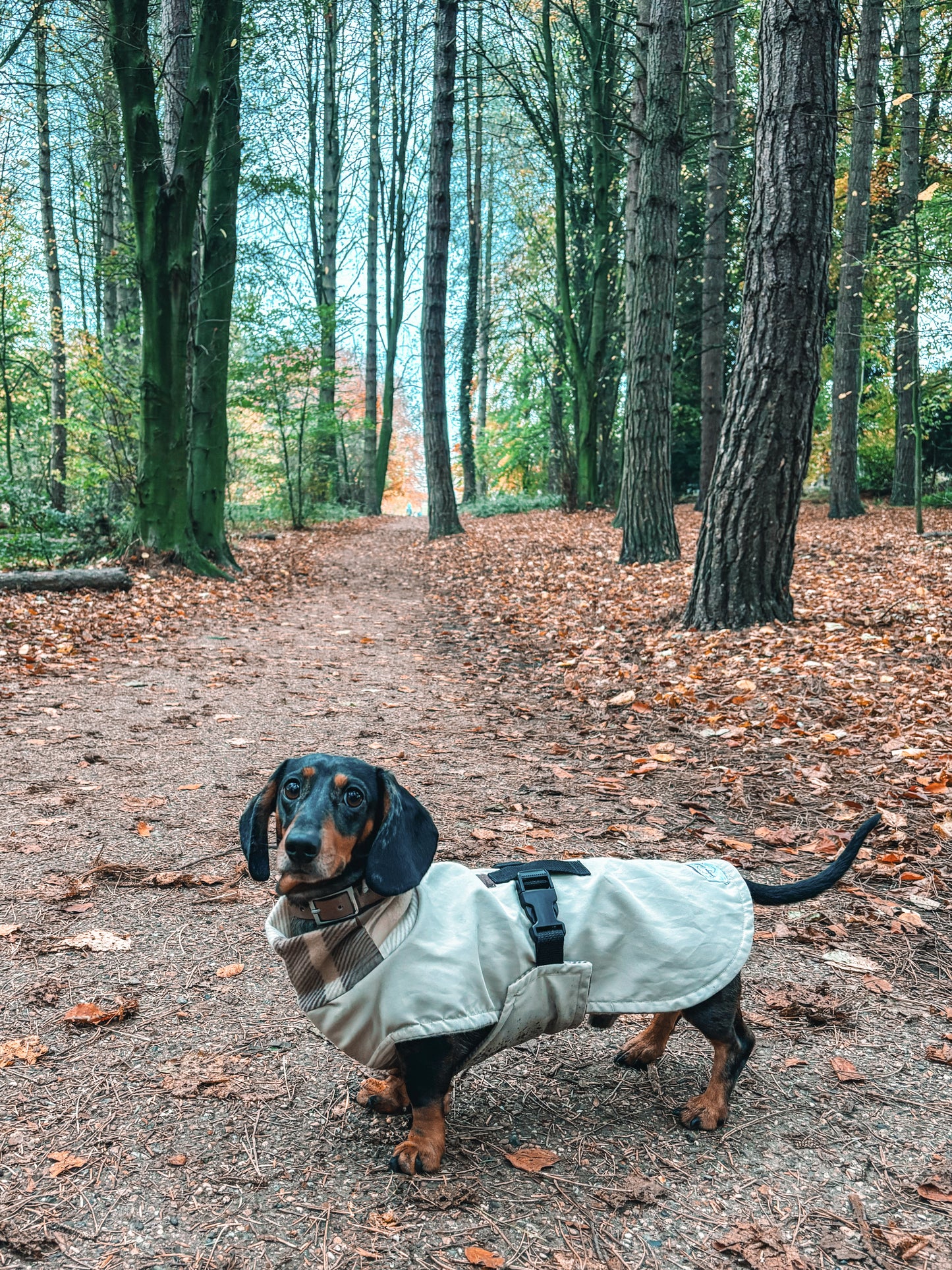 Beige Full Tummy Waterproof Jacket with Fleece Lining