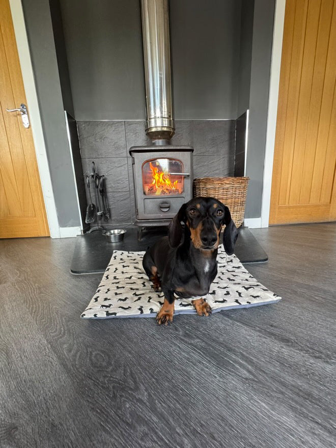 Dachshund Pub & Picnic Settle Mat