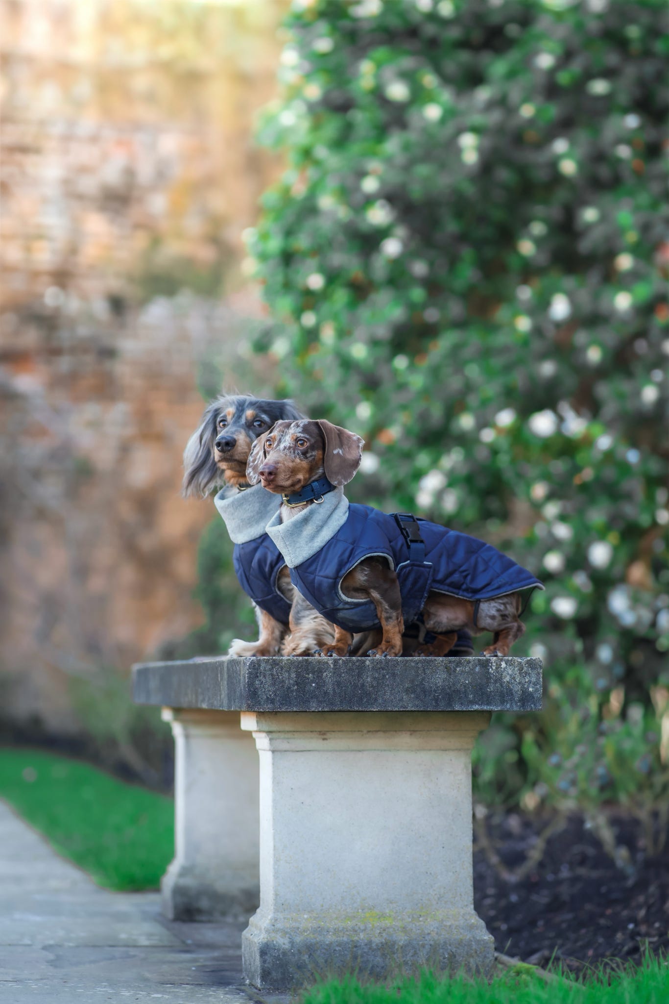 Navy Quilted Full Tummy Coat with Fleece Lining