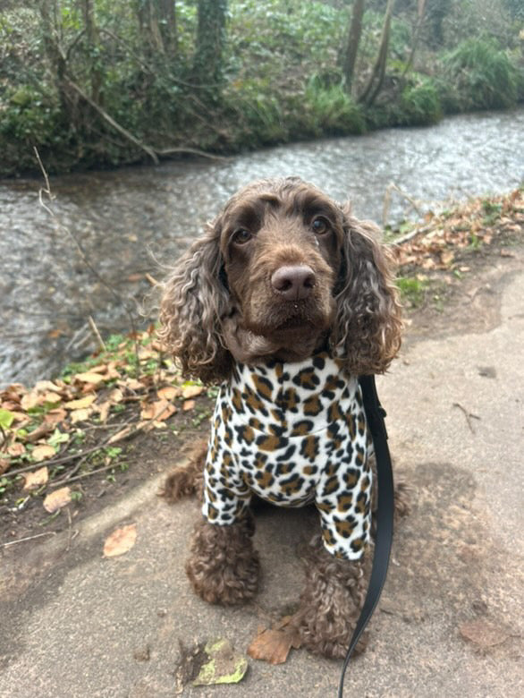 Snow Leopard Fleece Jumper