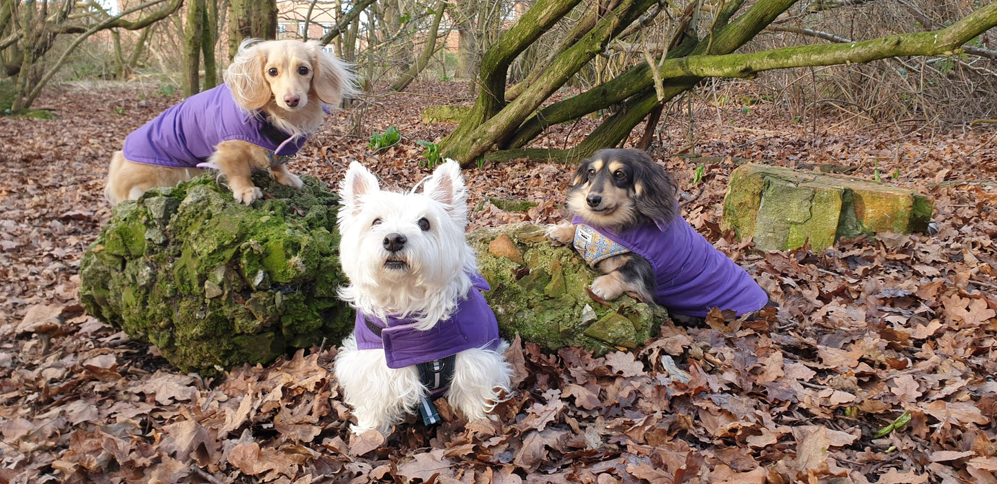 Purple Waterproof Jacket with Fleece Lining