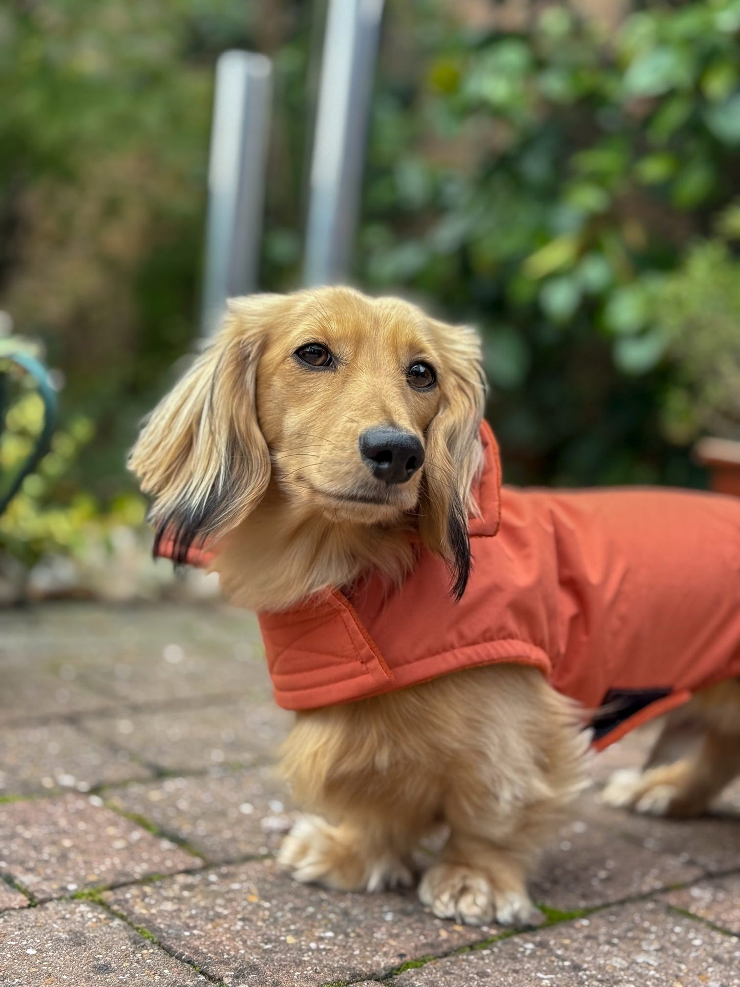 Rust Waterproof Jacket with Fleece Lining