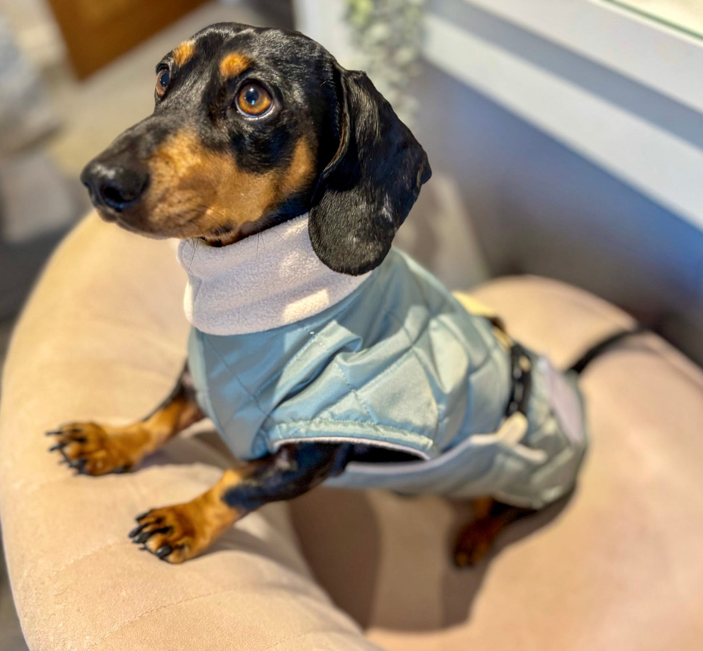 Sage Quilted Full Tummy Coat with Fleece Lining