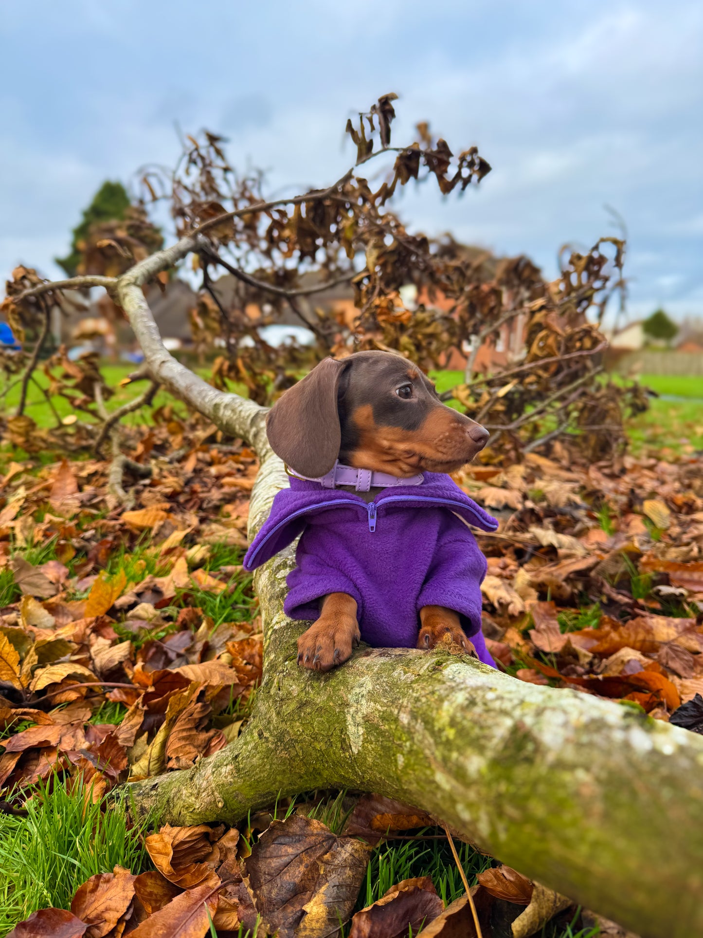 Purple Quarter Zip Fleece Jumper