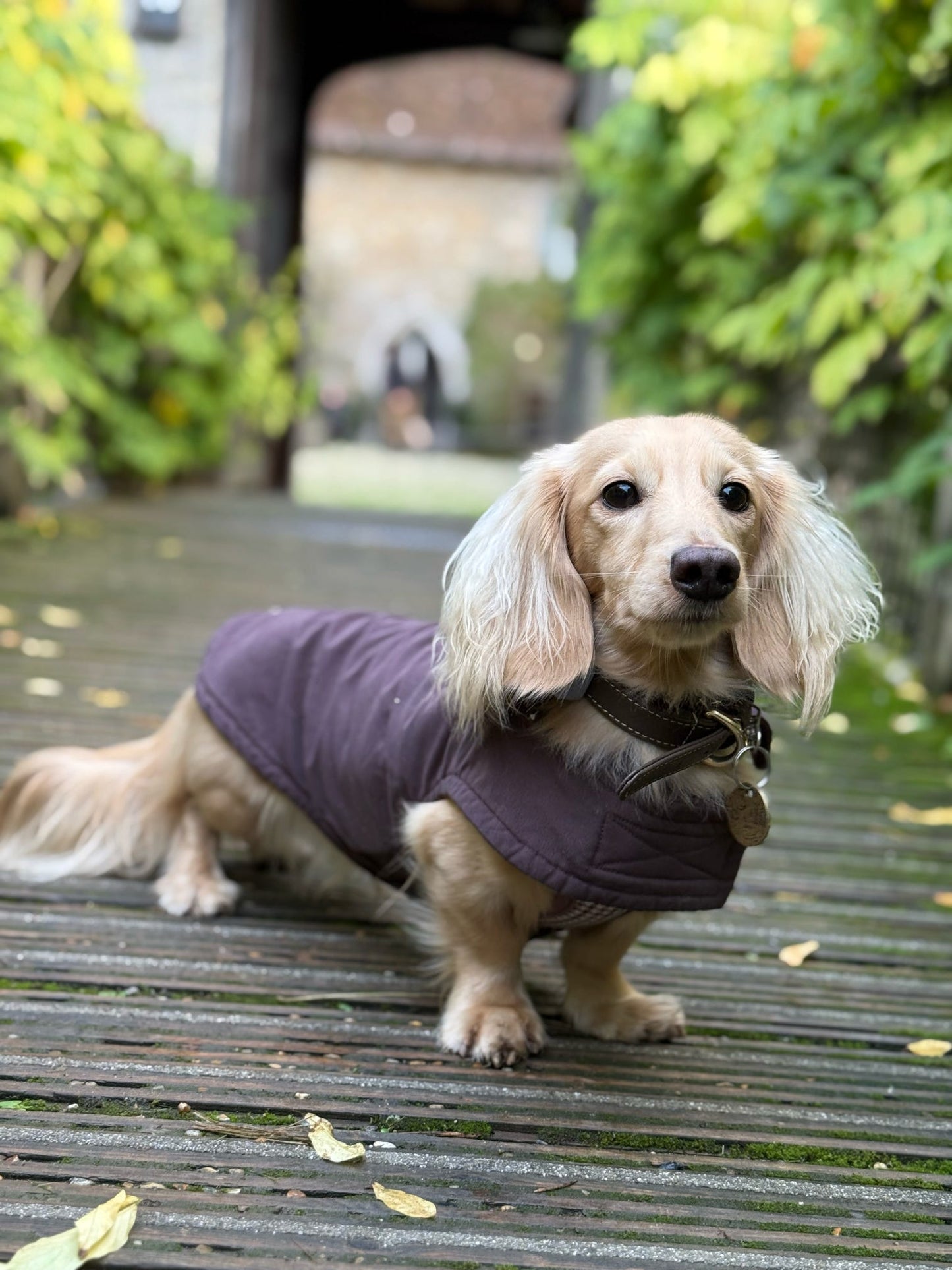 Chocolate Waterproof Jacket with Fleece Lining