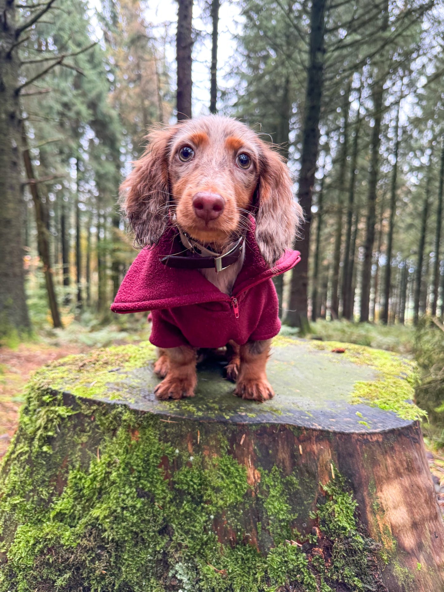 Wine Quarter Zip Fleece Jumper