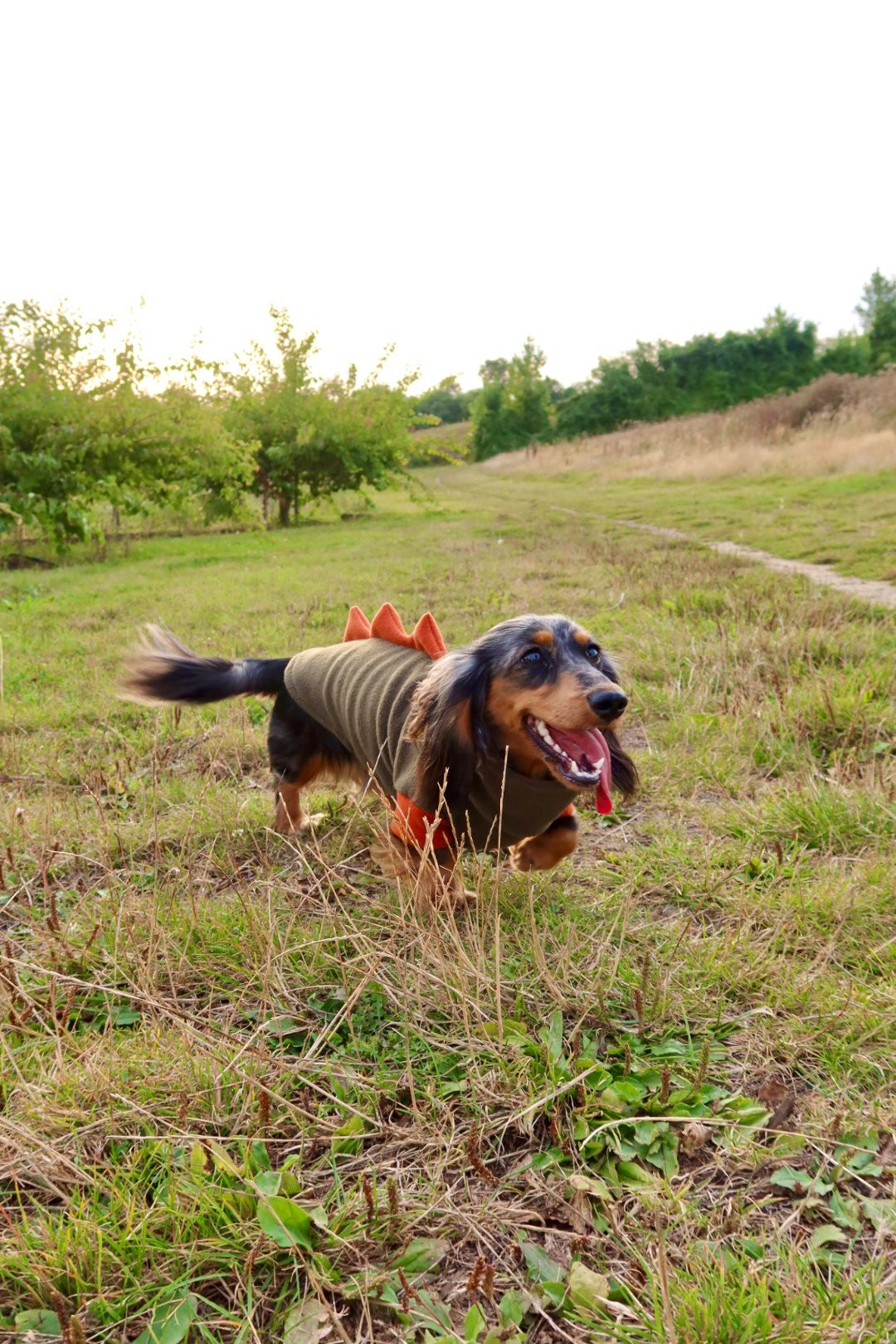 Jurassic Bark Fleece Jumper