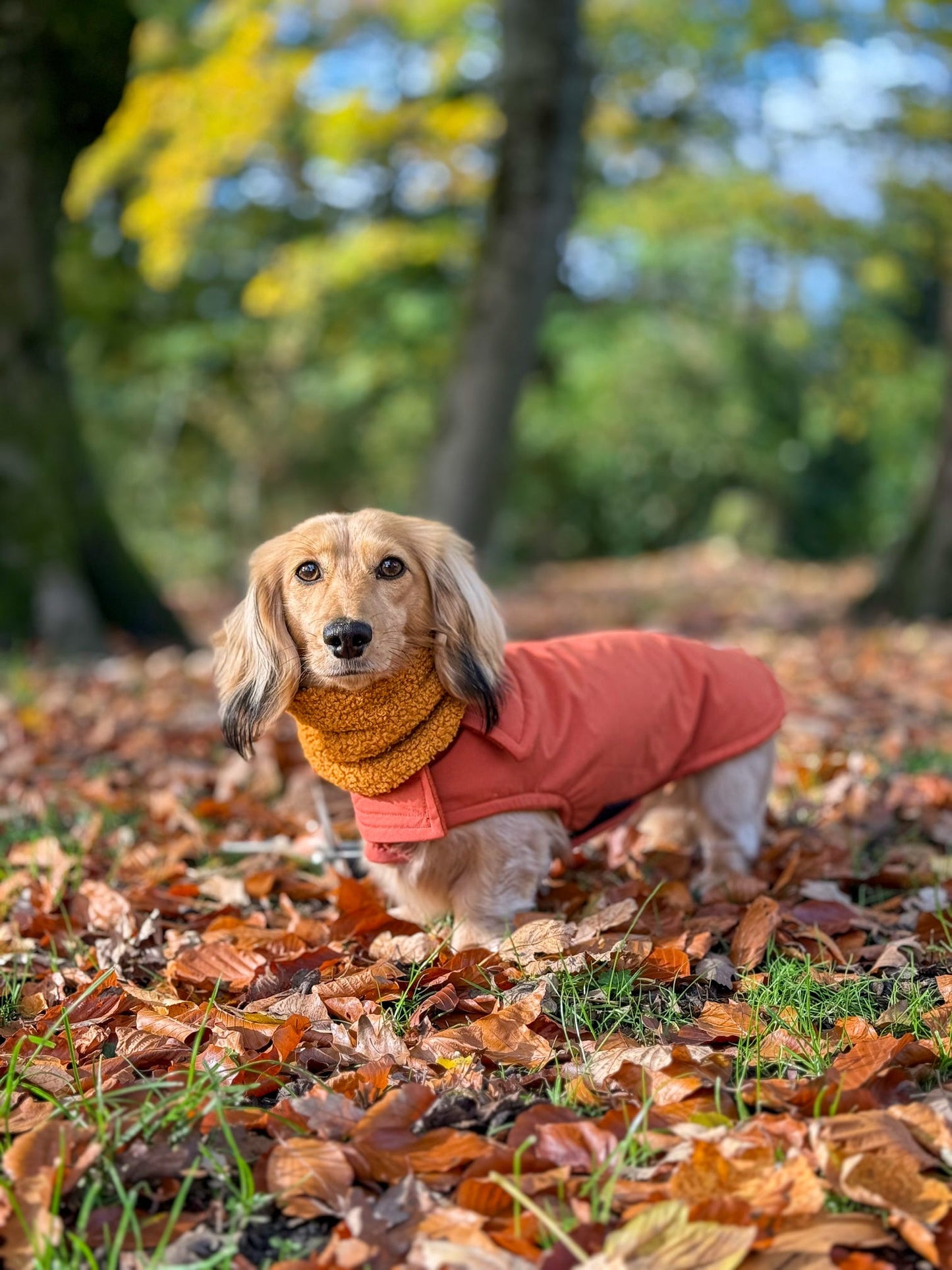 Rust Waterproof Jacket with Fleece Lining