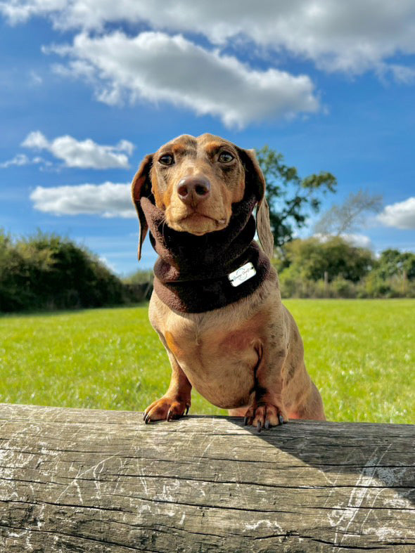 Chocolate Fleece Snood